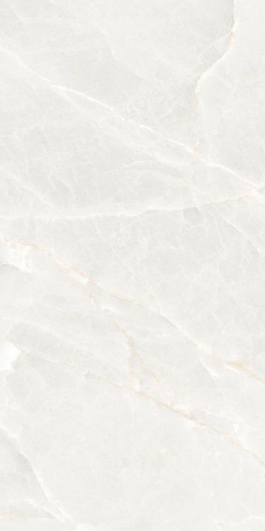 Brasilia White Matte 12 x 24